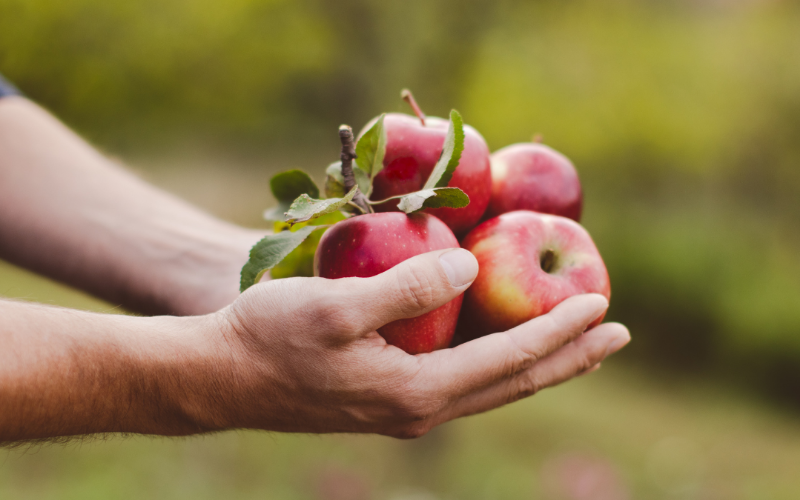 Fresh-Ontario-Apples