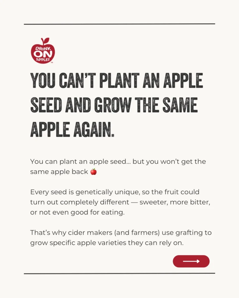 Instagram post from drinkontarioapples. This post is in position 1.