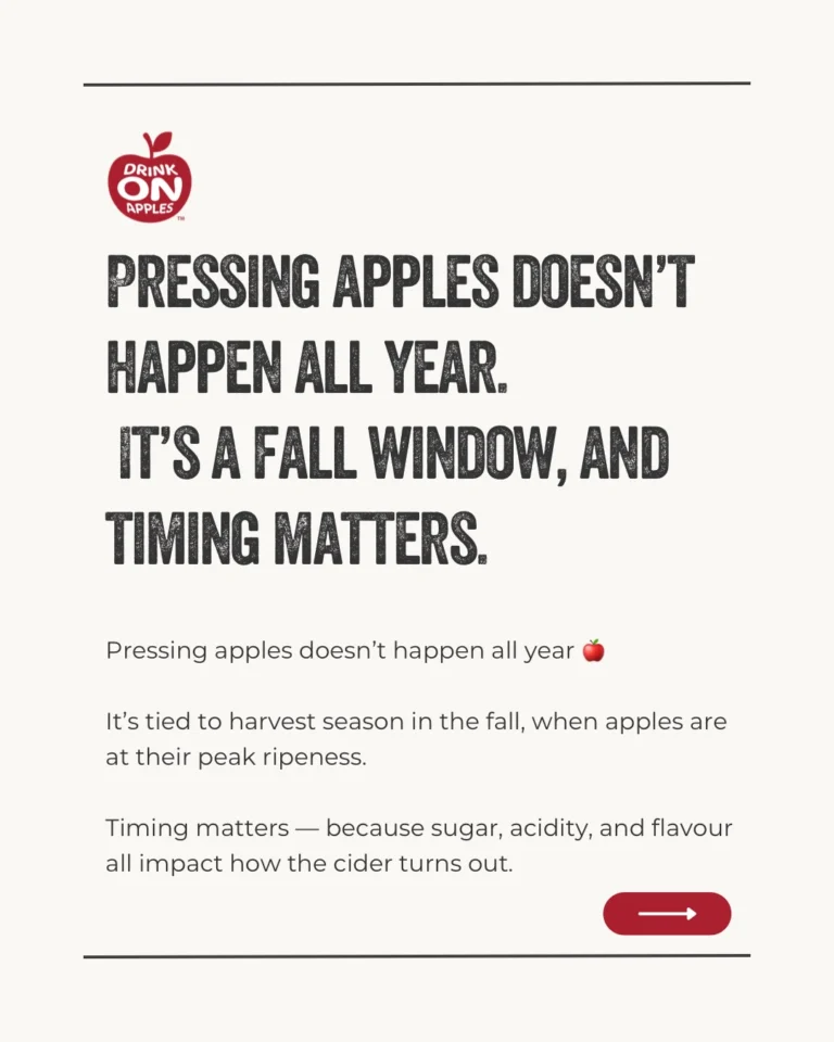 Instagram post from drinkontarioapples. This post is in position 4.