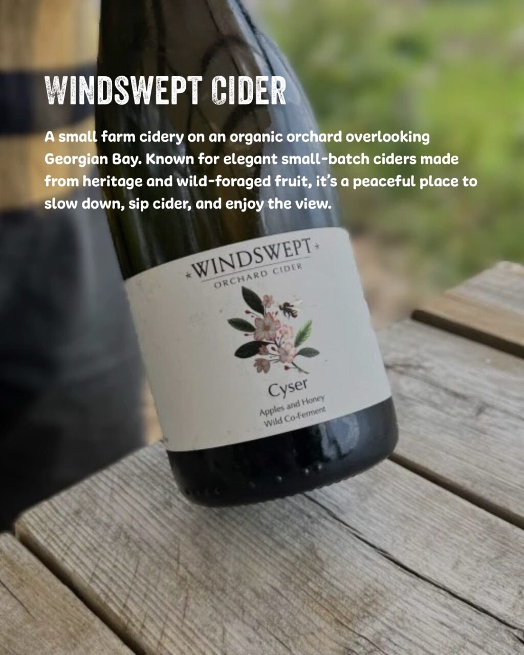 Instagram post from drinkontarioapples. This post is in position 10.