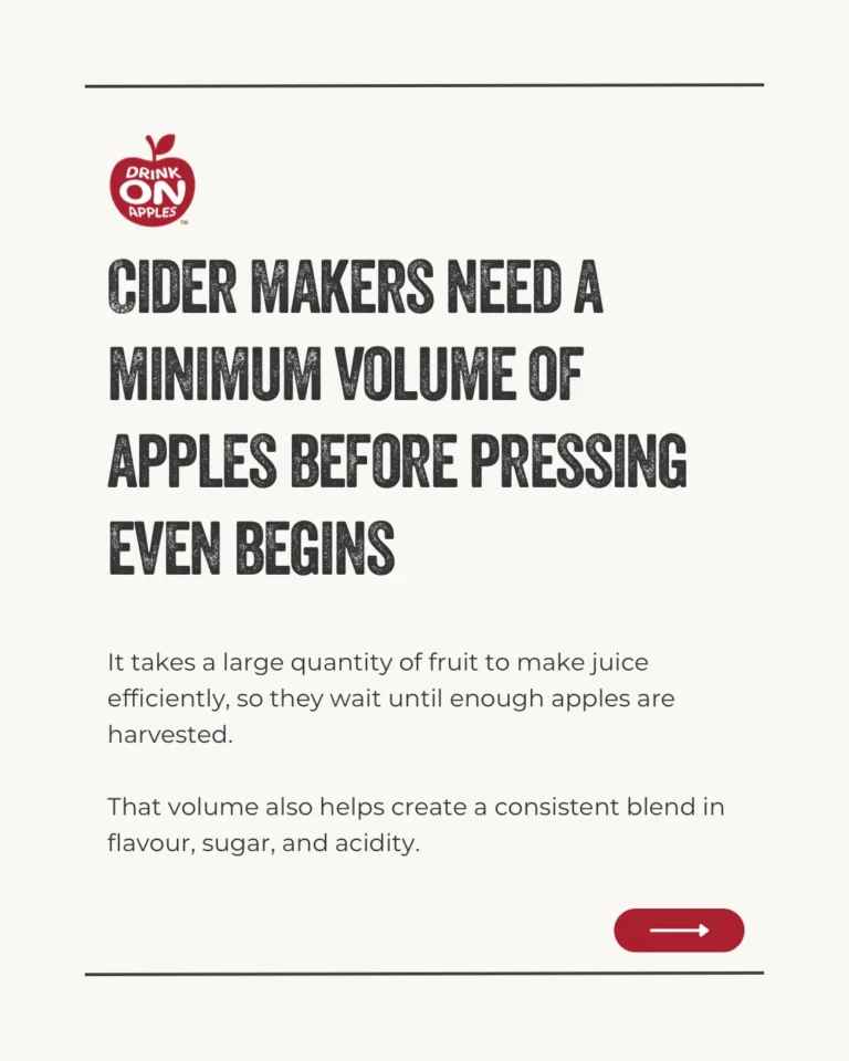 Instagram post from drinkontarioapples. This post is in position 5.