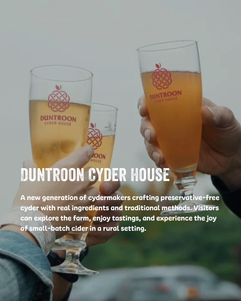 Instagram post from drinkontarioapples. This post is in position 9.