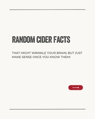 Instagram post from drinkontarioapples. This post is in position 2.