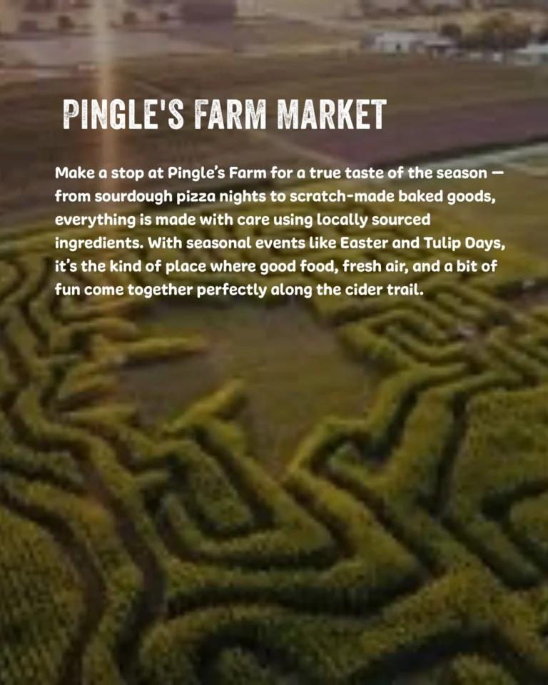 Instagram post from drinkontarioapples. This post is in position 9.